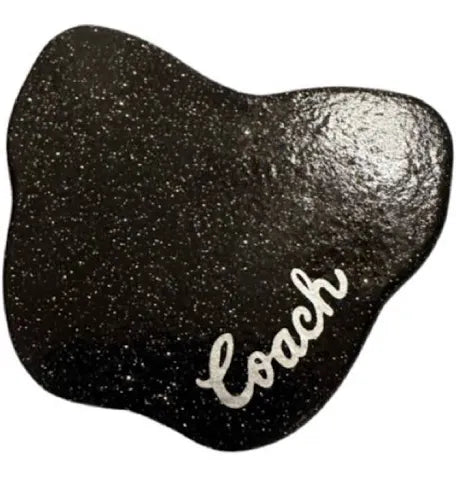 ESPEJO COACH